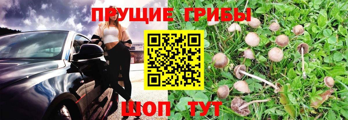 Галлюциногенные грибы Magic Shrooms Иркутск